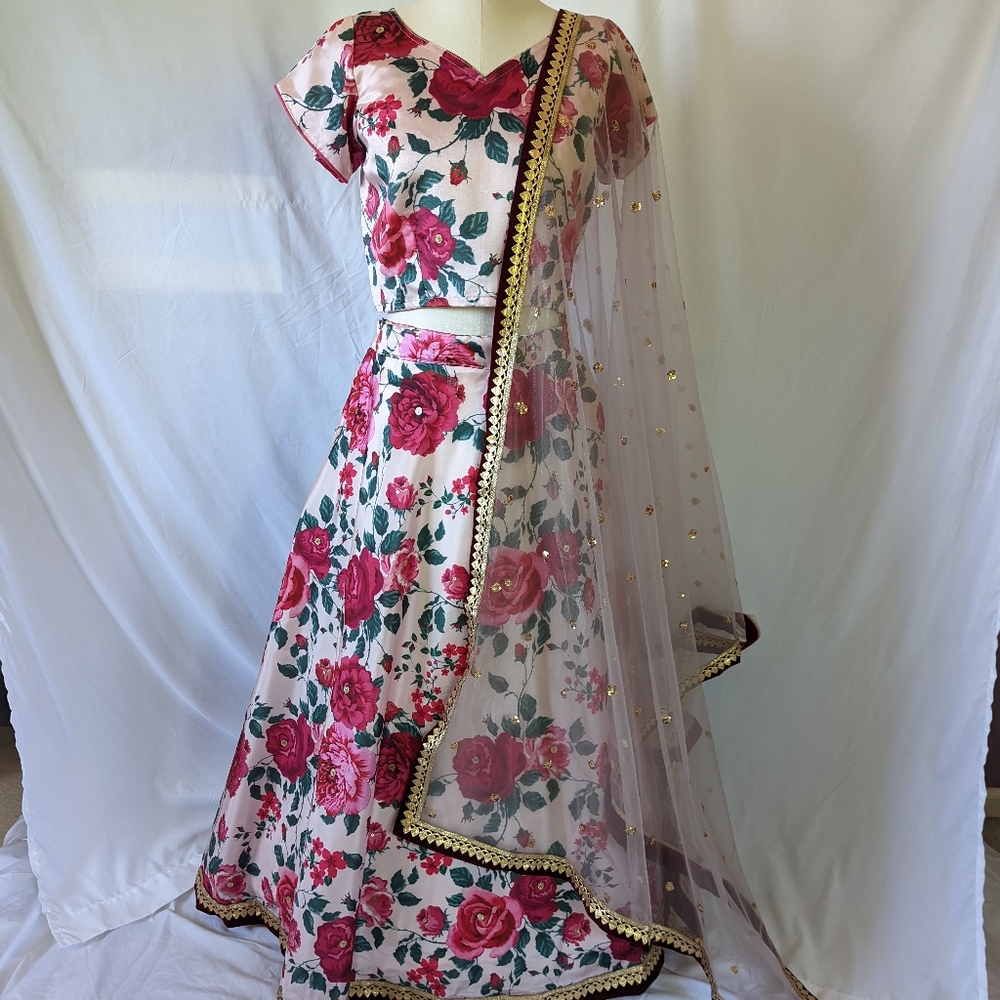NWOT Lehenga Choli